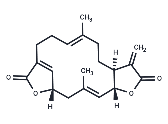 化合物 Ovatodiolide,Ovatodiolide