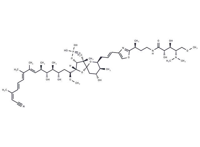 花萼海綿體誘癌素 A,Calyculin A