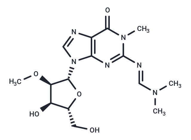 化合物 N2-[(N,N-Dimethyl)amino]methylene-N1-methyl-2’-O-Methyl ? guanosine,N2-[(N,N-Dimethyl)amino]methylene-N1-methyl-2’-O-Methyl ? guanosine