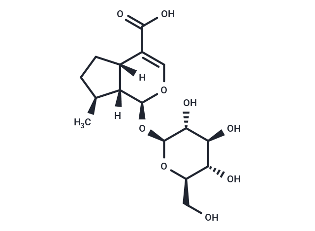 7-去氧馬錢(qián)子酸,7-Deoxyloganic acid