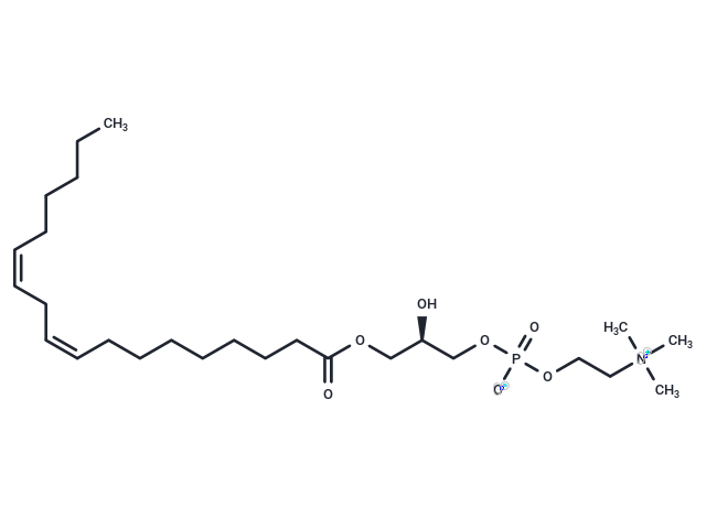 1-Linoleoyl-2-Hydroxy-sn-glycero-3-PC,Lysophosphatidylcholine 18:2