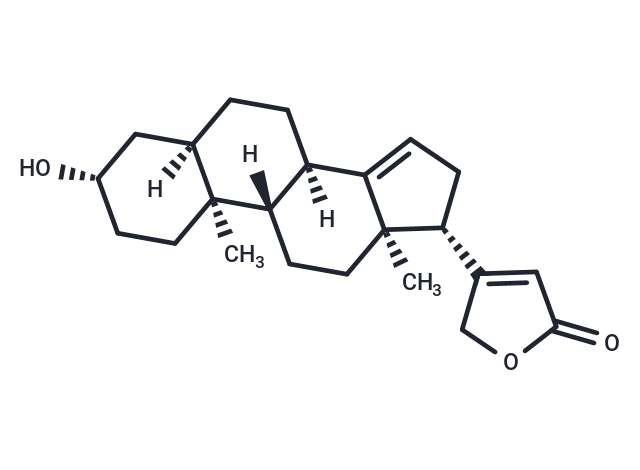 14-Anhydrodigitoxigenin,14-Anhydrodigitoxigenin