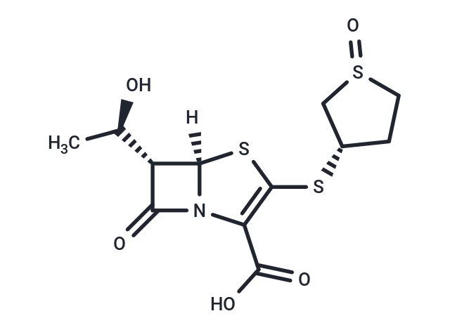 硫培南,Sulopenem