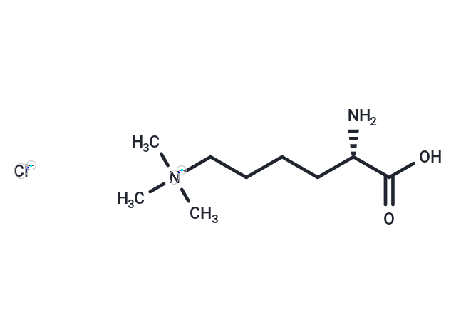 化合物L(fēng)ys(Me)3-OH Chloride,Nε,Nε,Nε-Trimethyllysine chloride