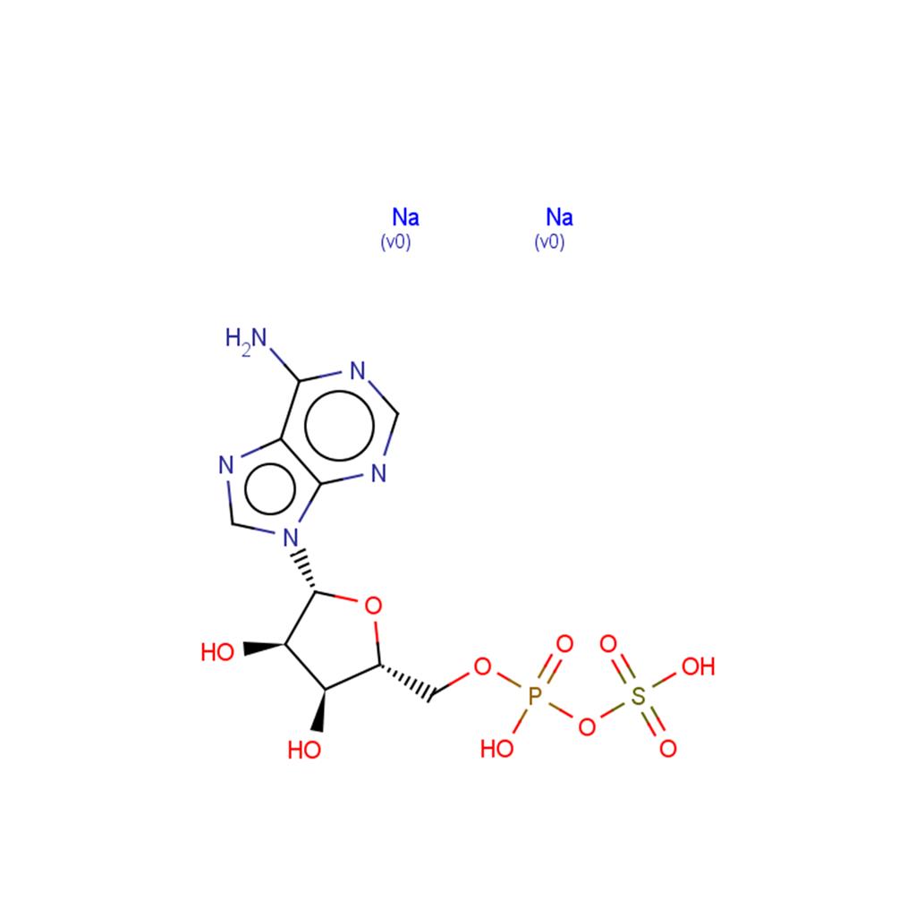 Adenosine 5'-phosphosulfate (sodium salt),Adenosine 5'-phosphosulfate (sodium salt)