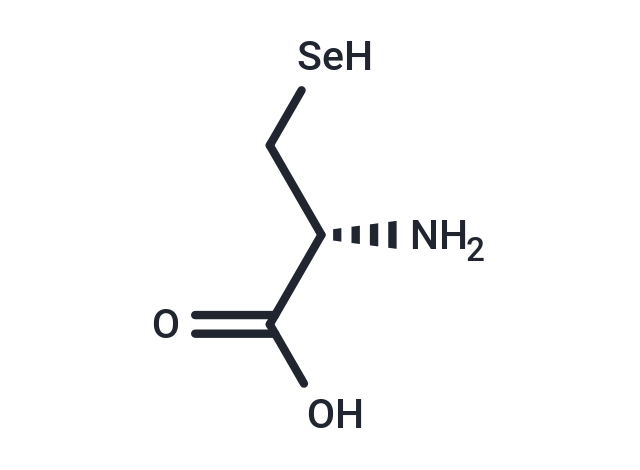 硒代-L-半胱氨酸,Selenocysteine