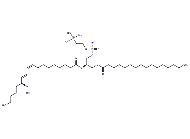 化合物 1-Palmitoyl-2-13(S)-HpODE-sn-glycero-3-PC,1-Palmitoyl-2-13(S)-HpODE-sn-glycero-3-PC