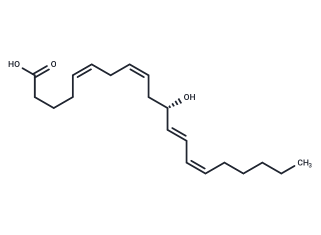 化合物 11(S)-HETE,11(S)-HETE