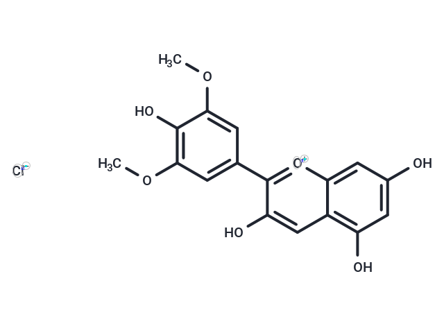 氯化錦葵色素,Malvidin chloride