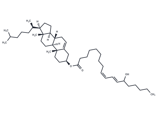 (±)13-HODE cholesteryl ester,(±)13-HODE cholesteryl ester