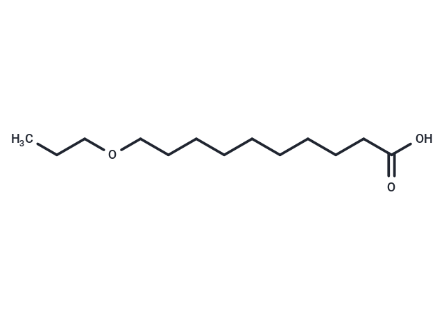 O-11,O-11