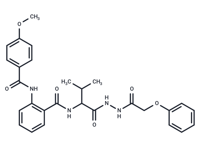 化合物 Wnt/β-catenin-IN-2,Wnt/β-catenin-IN-2