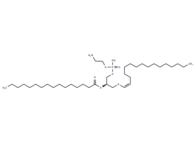 化合物 1-1(Z)-Hexadecenyl-2-Palmitoyl-sn-glycero-3-PE,1-1(Z)-Hexadecenyl-2-Palmitoyl-sn-glycero-3-PE