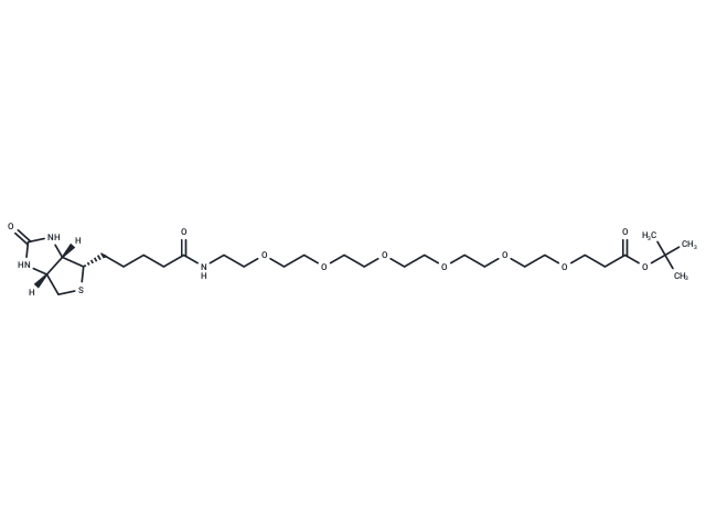 生物素-六聚乙二醇-丙酸叔丁酯,Biotin-PEG6-Boc