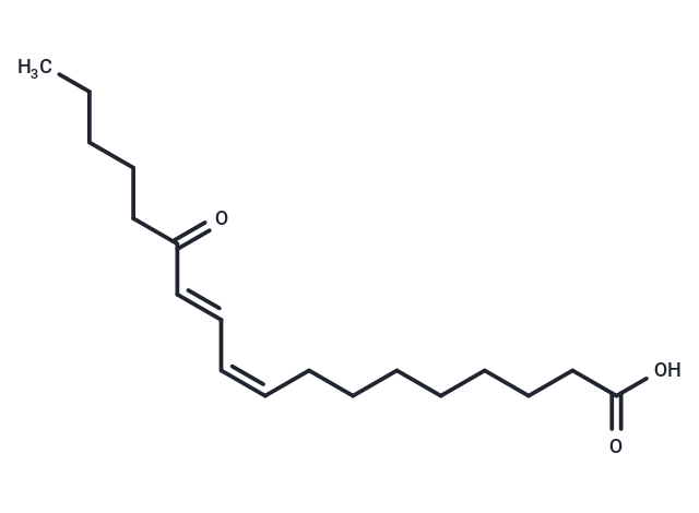 化合物 13-Oxo-ODE,13-Oxo-ODE