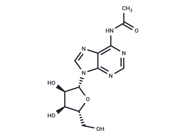 化合物 N6-Acetyl adenosine,N6-Acetyl adenosine