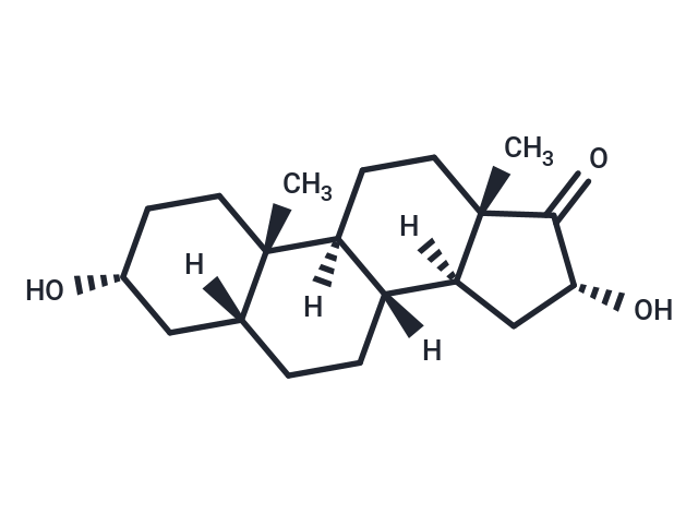 16α-Hydroxyetiocholanolone,16α-Hydroxyetiocholanolone