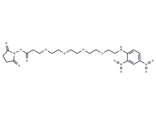 化合物 DNP-PEG4-NHS ester,DNP-PEG4-NHS ester