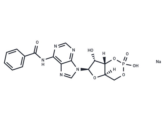 化合物 6-Bnz-cAMP sodium salt,6-Bnz-cAMP sodium salt