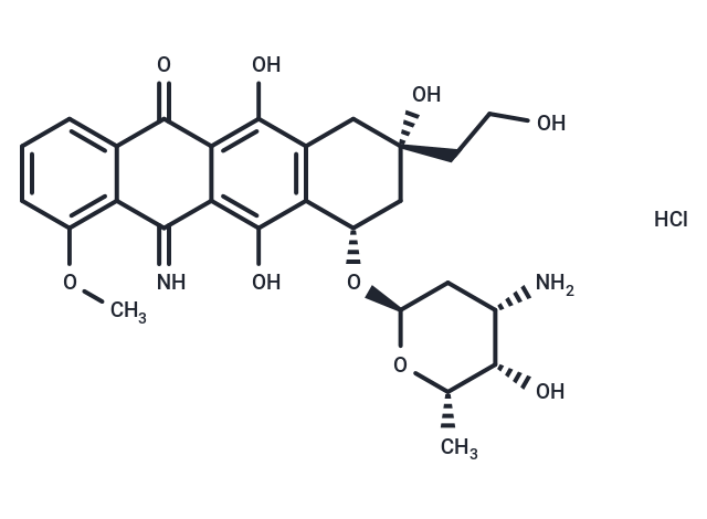 化合物 Camsirubicin HCl,Camsirubicin HCl