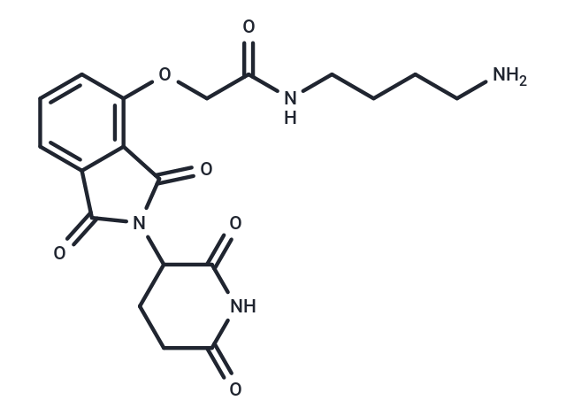 化合物 Thalidomide-O-amido-C4-NH2,Thalidomide-O-amido-C4-NH2