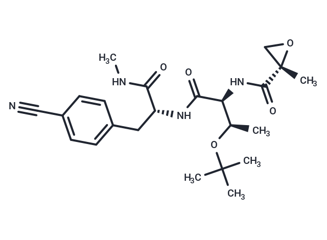 BTK-IN-5,BTK-IN-5