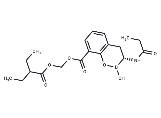 Ledaborbactam etzadroxil,Ledaborbactam etzadroxil