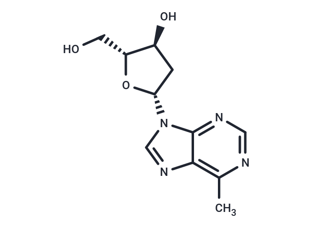 化合物 9-(2-Deoxy-β-D-erythropentofuranosyl)-6-methyl-9H-purine,9-(2-Deoxy-β-D-erythropentofuranosyl)-6-methyl-9H-purine