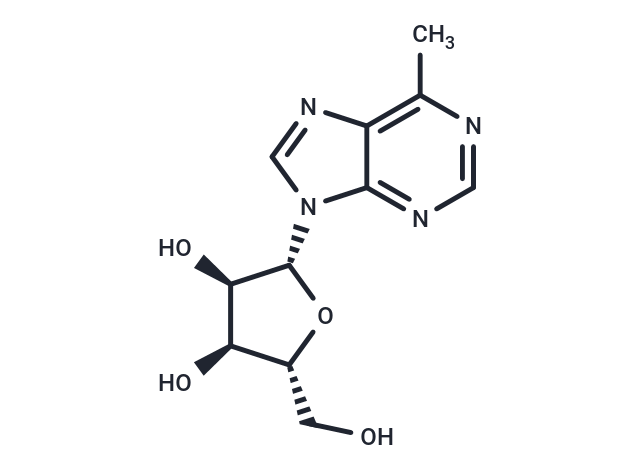 化合物 6-Methylpurine-beta-D-riboside, 6-D-MPR,6-MPR