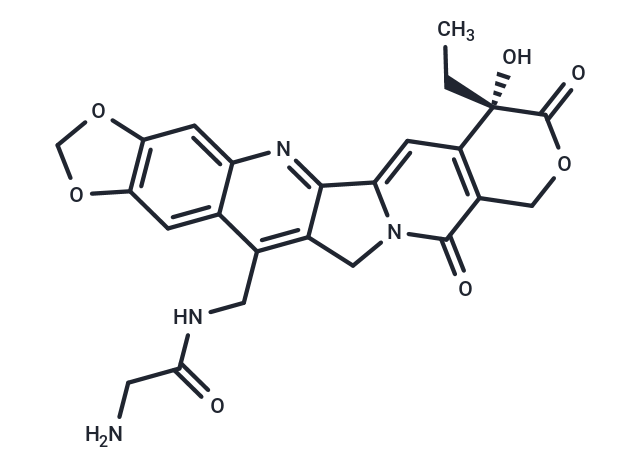 化合物 Gly-7-MAD-MDCPT,Gly-7-MAD-MDCPT