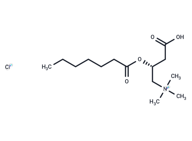 Heptanoyl-L-carnitine (chloride),Heptanoyl-L-carnitine (chloride)