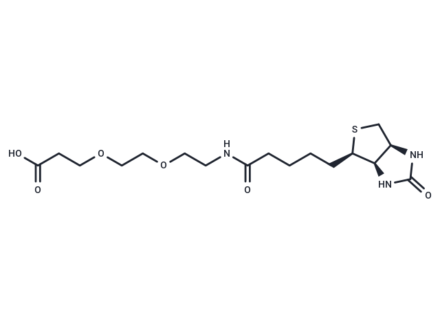 化合物 Biotin-PEG2-acid,Biotin-PEG2-acid