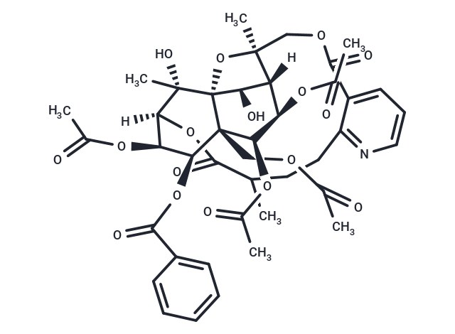 冬青衛(wèi)矛堿D,Euojaponine D