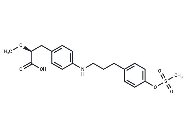 化合物 PPAR agonist 1,PPAR agonist 1