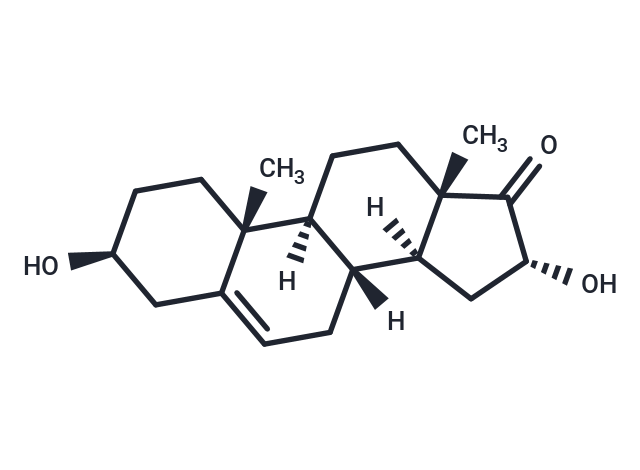 16α-hydroxy Dehydroepiandrosterone,16α-hydroxy Dehydroepiandrosterone