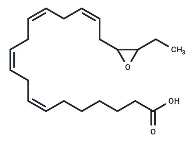 (±)19(20)-EpDTE,(±)19(20)-EpDTE