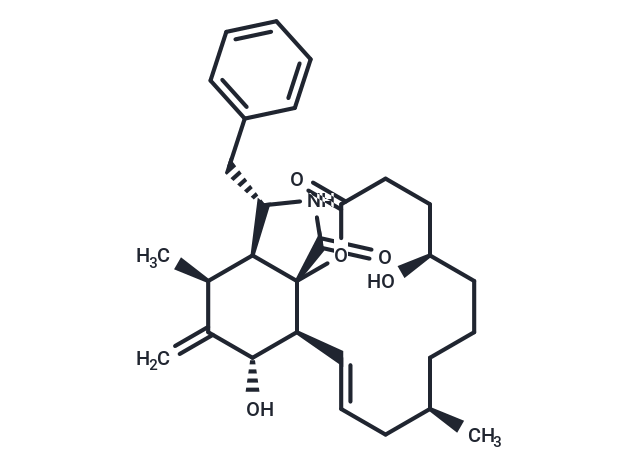 二氫細胞松弛素 B,Dihydrocytochalasin B