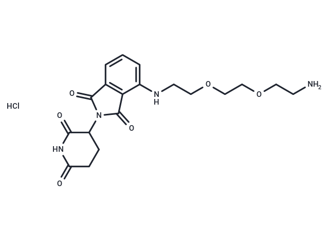 化合物 Thalidomide-PEG2-C2-NH2 hydrochloride,Thalidomide-PEG2-C2-NH2 hydrochloride