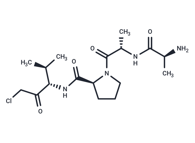 化合物 Ala-Ala-Pro-Val-chloromethylketone,Ala-Ala-Pro-Val-chloromethylketone