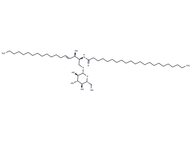 C22 Glucosylceramide (d18:1/22:0),C22 Glucosylceramide (d18:1/22:0)