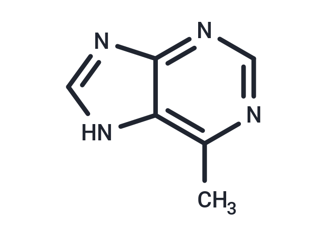 化合物 6-Methylpurine,6-Methylpurine