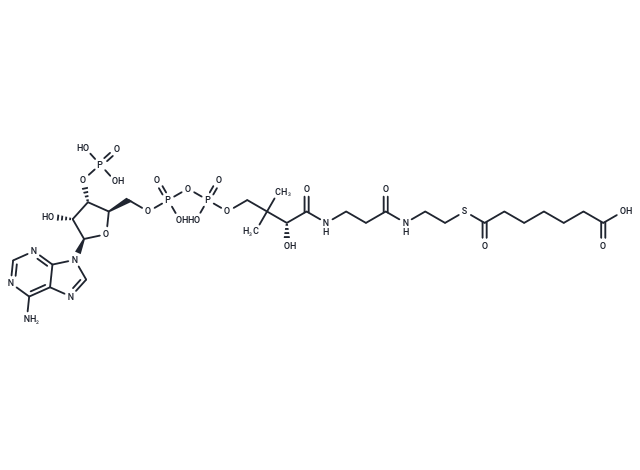 化合物 Pimeloyl-CoA,Pimeloyl-CoA