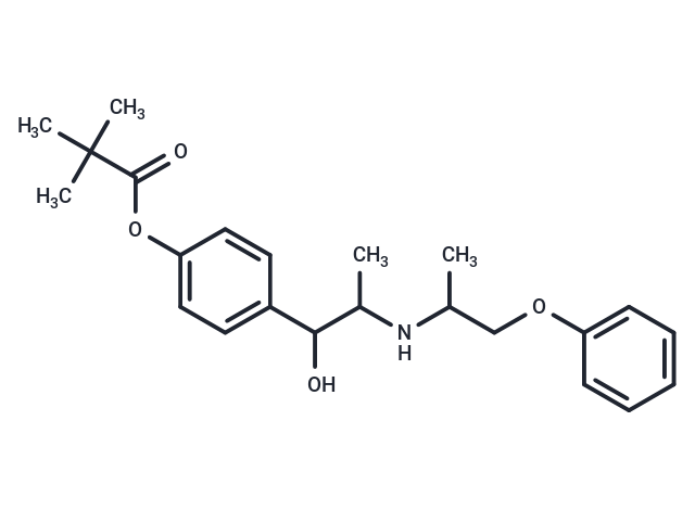 化合物 Isoxsuprine-monoester-1,Isoxsuprine-monoester-1