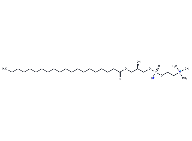 化合物 1-Arachidoyl-sn-glycero-3-phosphocholine,1-Arachidoyl-sn-glycero-3-phosphocholine