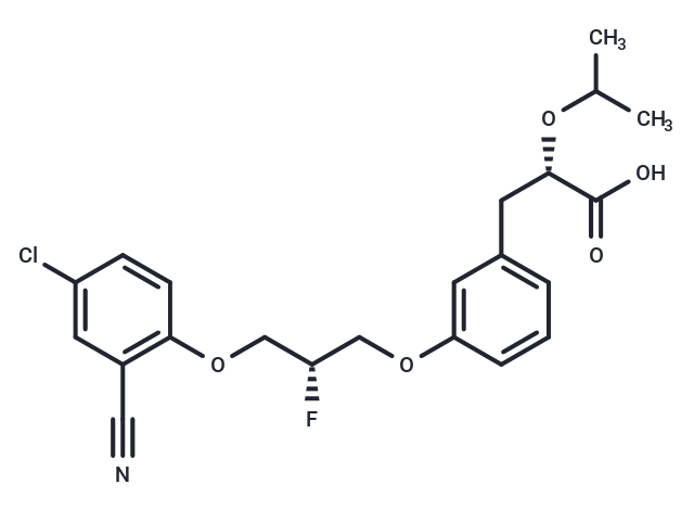 化合物 E-3030 free acid,E-3030 free acid