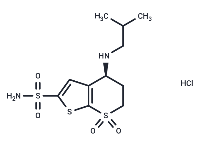 化合物 Sezolamide hydrochloride,Sezolamide hydrochloride