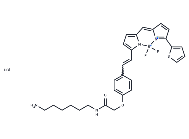 化合物 BDP 630/650 amine,BDP 630/650 amine