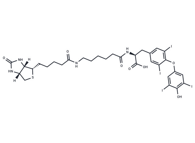 化合物 Biotin-hexanamide-(L-Thyroxine),Biotin-hexanamide-(L-Thyroxine)