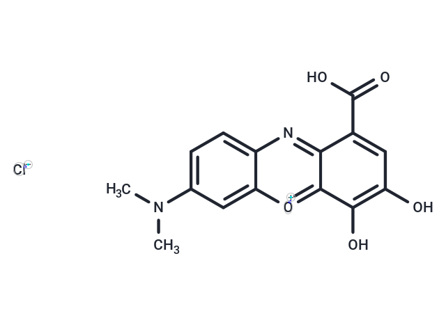 Gallocyanine,Gallocyanine