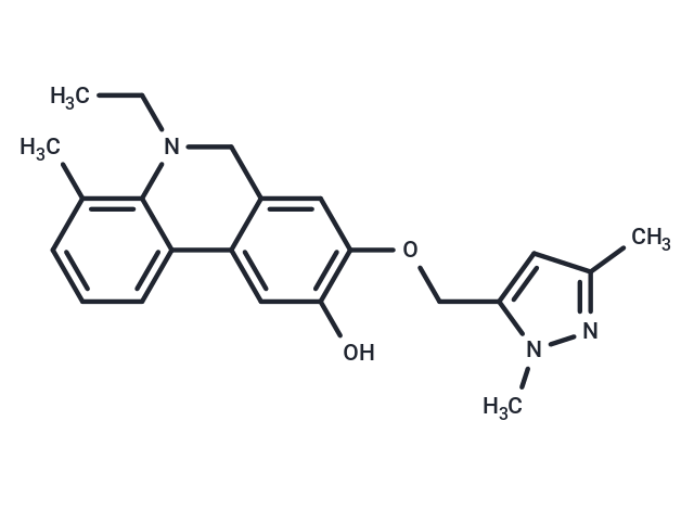 化合物 Wnt/β-catenin agonist 1,Wnt/β-catenin agonist 1